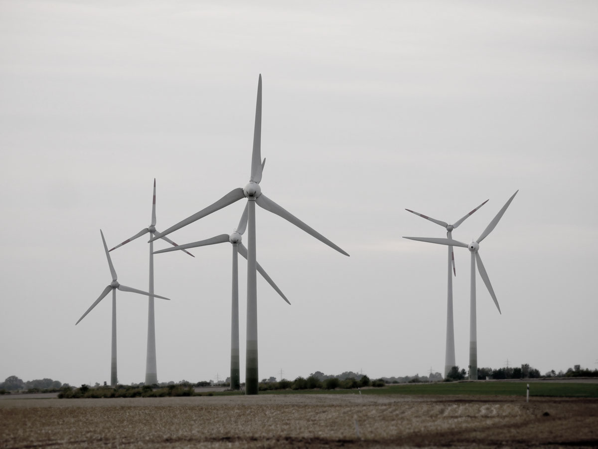 Seesener Stadtrat Gibt Widerstand Gegen Windpark Auf Regionalheute De