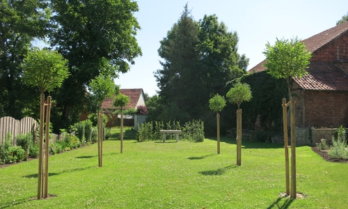 Die Kirchengemeinde Hornburg/Isingerode lädt herzlich zu einem Gottesdienst in der Baumkirche ein. Foto: Privat