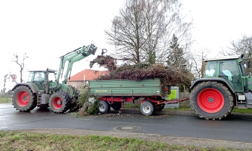 Es wurde fleissig gesammelt. Foto: Jörg Lingelbach