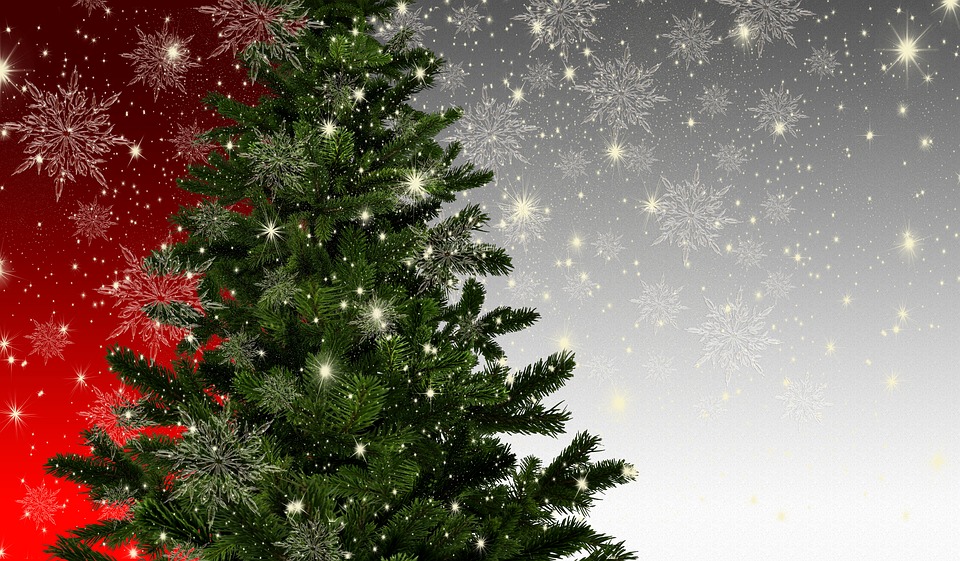 Wunschbaum Aktion Mit Verkehrs Gmbh Weihnachtswunsche Erfullen Regionalheute De
