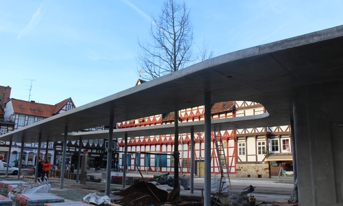 Am heutigen Donnerstag wurden auf der Mittelinsel des Kornmarktes wieder neue Bäume gepflanzt. Fotos/Video: Jan Borner