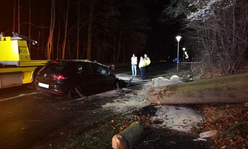 Auf der Nordsteimker Straße krachte ein Baum auf ein Auto. Foto: Aktuell24 (KR)