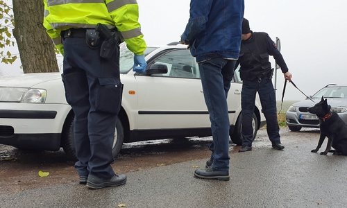 Spürhund Maze bei der Kontrolle eines Fahrzeugs. Fotos: Polizei