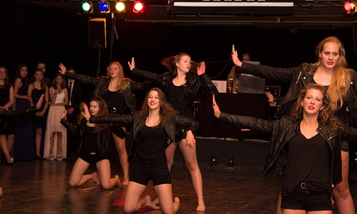 Mit durchgestylten Tanzvorführungen wusste ein Ensemble der „Tanzschule im Park“ zu begeistern.
