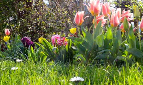 "Wenig Chemie im heimischen Garten" als Ziel. Symbolbild. Foto: Archiv