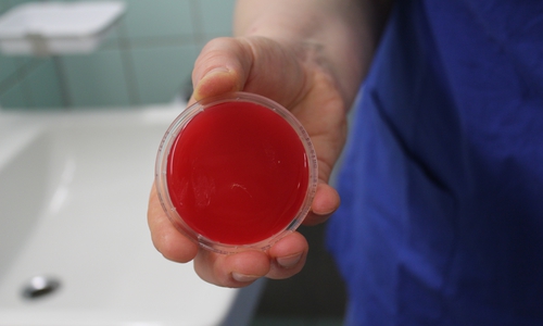 Im Marienstift Braunschweig wurde eine Hygieneuntersuchung durchgeführt. Fotos: Marienstift
