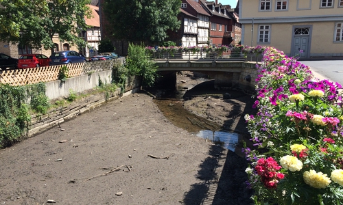 Wolfenbüttel. Im innerstädtischen Okerarm im Bereich der Kommißstraße und Klein Vendig herrscht derzeit Ebbe. Foto: Werner Heise 