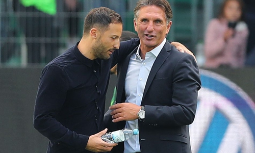 Beerbt Bruno Labbadia (re.) Domenico Tedesco auf Schalke? Foto: Agentur Hübner/Archiv
