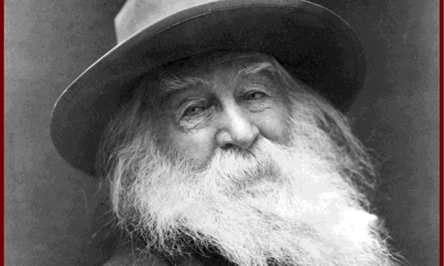 Anlässlich des 200-jährigen Geburtstags von Walt Whitman hält die Lessing-Akademie eine Lesung in Wolfenbüttel ab. Foto: Lessing-Akademie