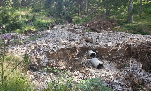  Die Temperaturen im Harz und weltweit steigen - die Hochwassergefahren ebenso, denn die Themen hängen eng zusammen. Dieses Bild zeigt das obere Gelmketal. Foto:  Dr. Donald Giesecke