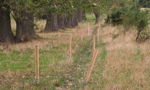 Wegemarkierung in den Herzogsbergen. Foto: Grüne Cremlingen