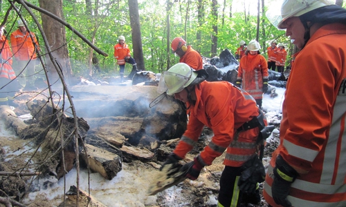 Symbolfoto: Waldbrand in Sickte, Foto: FF Sickte