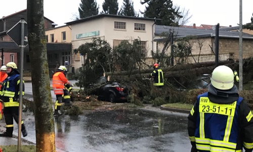 Durch die starken Orkanböen wurden etliche Bäume umgeworfen. In Königslutter traf es leider ein Auto. Foto: Freiwillige Feuerwehr Königslutter