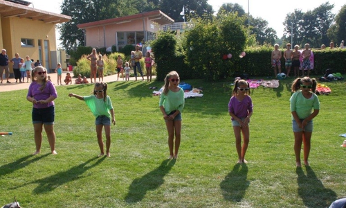 Die Dance-Kids vom TSV Destedt begeisterten das Publikum. Foto: privat