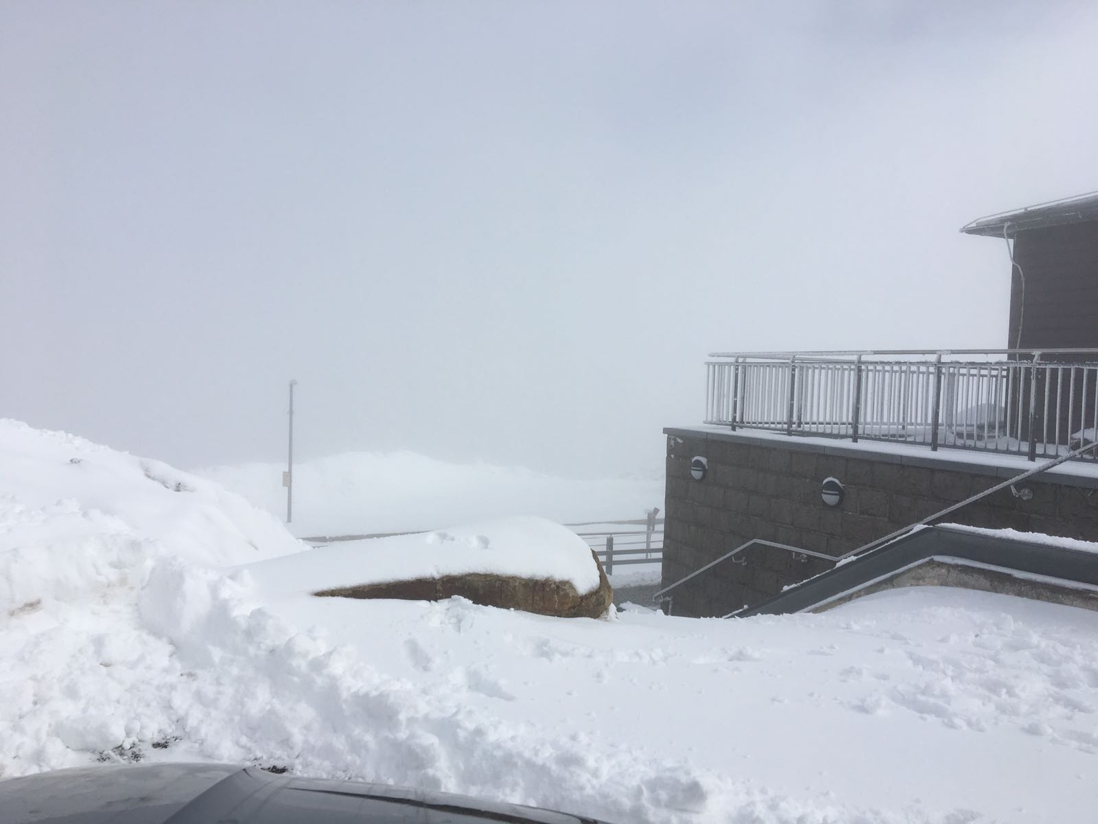 Auf dem Brocken ist der Frühling noch nicht angekommen regionalHeute.de