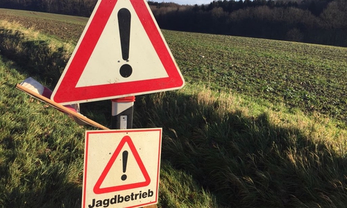 Symbolfoto