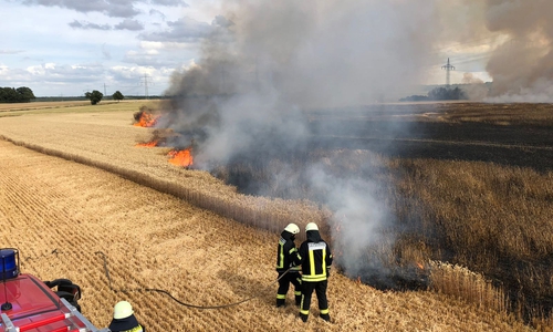 Am Montagabend standen zwischen Klein Brunsrode und Jelpke sieben Hektar Feld in Flammen. Fotos: Presseteam Feuerwehr Gemeinde Lehre