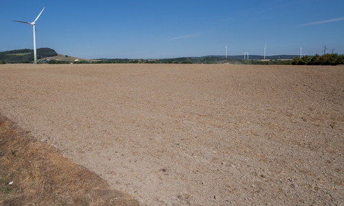 Das "Kalte Feld" in Bad Harzburg soll nach Willen der SPD in Zusammenarbeit der Städte Bad Harzburg und Goslar zum Industriegebiet entwickelt werden. Symbolfoto: Alec Pein