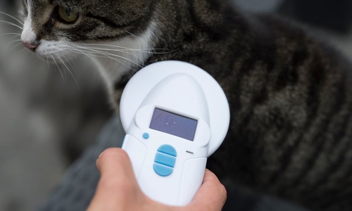 Tierärzte und Tierheime haben in der Regel Lesegeräte, mit denen die Nummer des Transponders ausgelesen werden kann.
Foto: TASSO e.V.