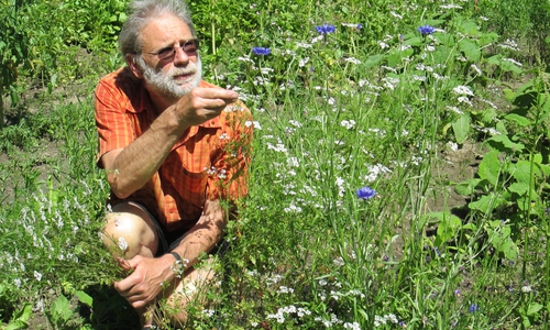 Heiner Schrobsdorff erklärt die Kräuter. Foto: Diethelm Krause-Hotopp