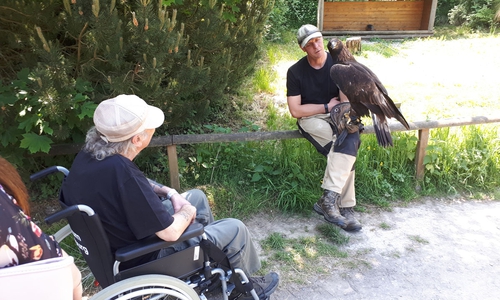 Noch einmal Adlers Schwingen sehen... Fotos: Malteser