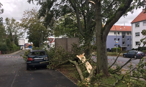 Das Sturmtief Xavier sorgte für viele Schäden in der Region. Foto: Alexander Dontscheff