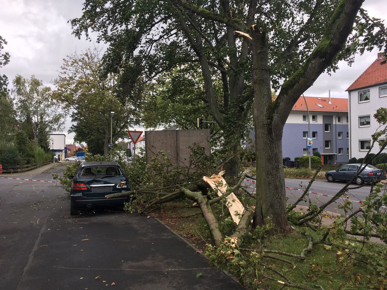 Sturmschäden werden beseitigt Parks möglichst meiden regionalHeute.de