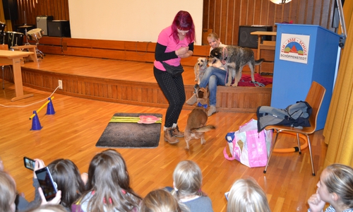 Fotos: IGS Schöppenstedt