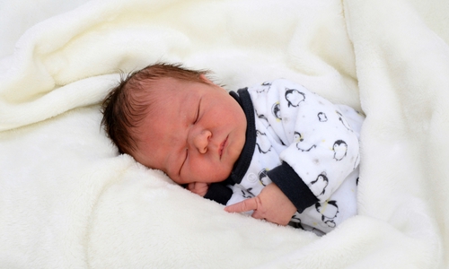 Willkommen: Felix Hoenig
Foto: babysmile24.de