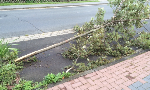 Am Wochenende hatte ein betrunkener Autofahrer mehrere Autos und einen Baum in Schladen beschädigt. Anwohner beklagen nun, dass es nicht selten sei, dass nachts Rennen in Wohngebieten gefahren werden. Foto: Anke Donner 