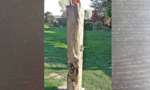 Eichenstele von Rita Wünnecke. Foto: Gemeinde Lehre