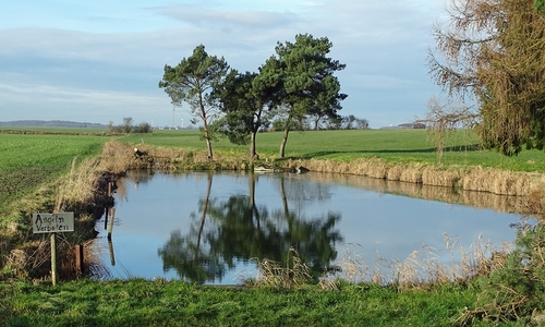 Ein Fischteich neben der B 244 an einem straßenbegleitenden Radweg zwischen Querenhorst und Groß Sisbeck. Der Hintergrund ist durch eine landwirtschaftlich genutzte Fläche geprägt. Foto: Kreisverkehrswacht