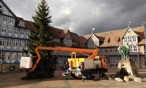Die 56. Friedenstanne aus dem norwegischen Drammen wurde am heutigen Dienstag durch die Stadtwerke Wolfenbüttel aufgestellt. Foto/Video: Werner Heise