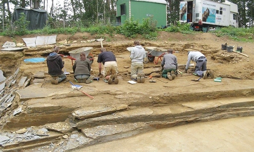 Am 16. September, dem internationalen „Tag des Geotops“, öffnet das Staatliche Naturhistorische Museum Braunschweig zwei paläontologische Grabungsstellen für interessierte Besucher. Foto: SNHM