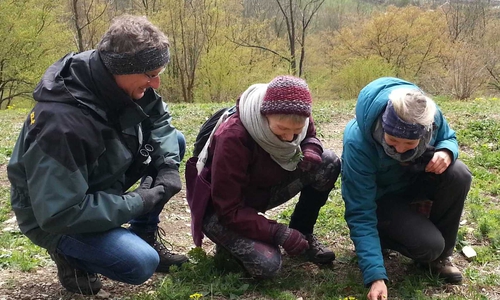 Frühlingsblüher am Südhang bei Wittmar. Foto: BUND