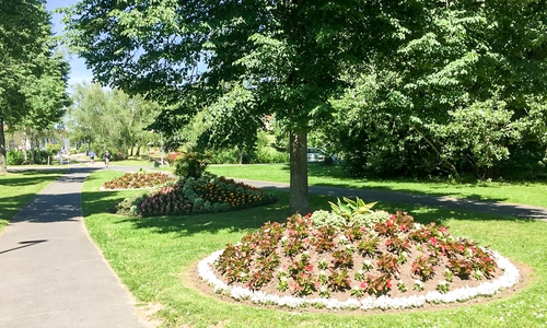 Wolfenbüttel zeigt sich in seiner ganzen Blumenpracht. Fotos: Stadt Wolfenbüttel