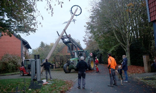 Der Maibaum wird von Henning Barnstorf heruntergeholt. Foto: Jürgen Lingelbach