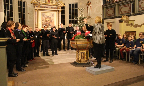 Eltern-Lehrer-Schüler-Chor des THG. Fotos: Max Förster