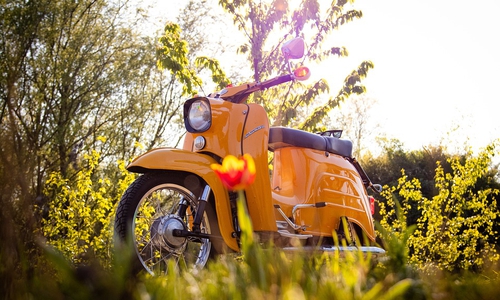 Die Schwalbe konnte ihren Eigentümern übergeben werden. Symbolbild: Pixabay