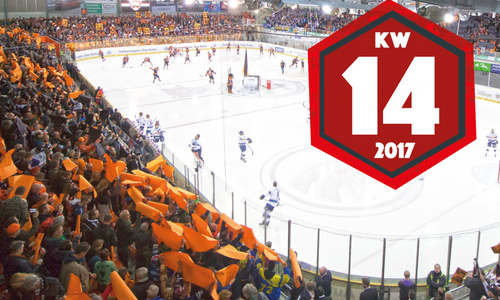 Finale in der DEL. Die Grizzlys auch dabei. Foto: Brandes/PresseBlen.de