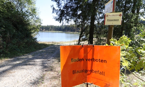 Badeverbot für den Prinzenteich. Foto: privat