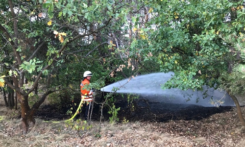 Das Feuer war schnell gelöscht. Fotos: Pressestelle der Freiwilligen Feuerwehr der Samtgemeinde Meinersen / Bußmann