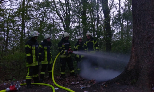 Die Feuerwehr Vorsfelde hatte am gestrigen Abend einen Baumbrand zu bekämpfen. Fotos: Feuerwehr Vorsfelde