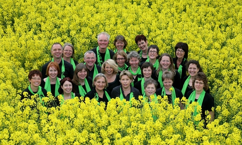 Chor Miasobate im Rapsfeld Foto: Carolin Heyer