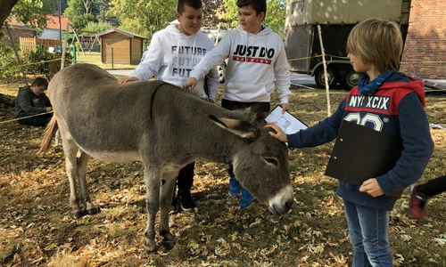 Der regelmäßige Schulbesuch gehört für die Tiere inzwischen schon fast zur Routine. Foto: Sabine Rehse