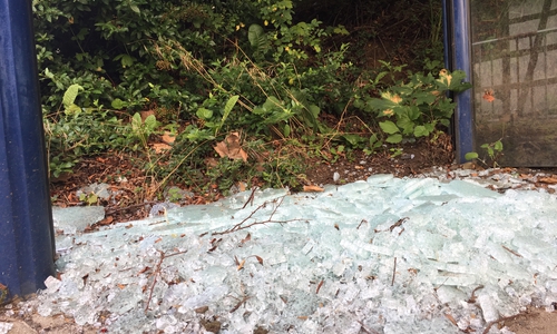 Symbolfoto: Anke Donner