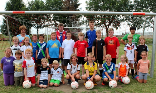 Die Teilnehmer des Fußballtrainings auf dem Kissenbrücker Sportplatz. Foto: privat