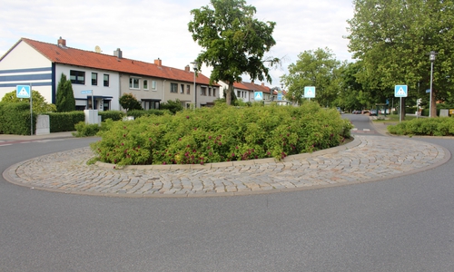 Der Kreisel mit dem hochgewachsenen Rosenbusch in der Ernst-Moritz-Arndt-Straße. Foto: Jan Borner