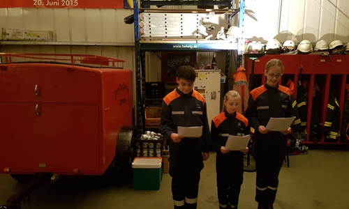 Die Jugendfeuerwehr Adersheim trat auf. Foto: privat