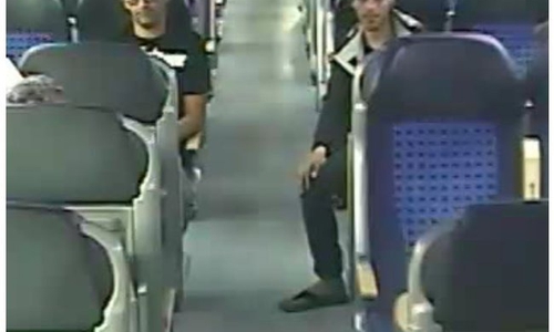 Die Polizei ist auf der Suche nach diesen Tätern. Foto: Polizeikommissariat Wolfenbüttel